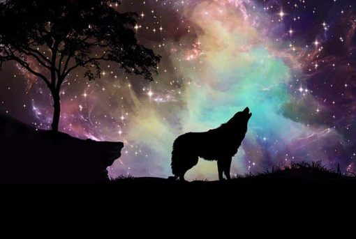 Wolf With Northern Lights Paint by numbers