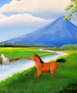 Volcano Horses Of Costa Rica paint by numbers