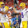 LSU Tigers football Paint by numbers