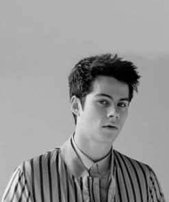 Monochrome Dylan O Brien Paint by numbers