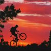 Mountain Bike Silhouette Paint by numbers