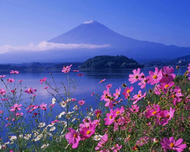 Mt Fuji Mountain Japan paint by numbers