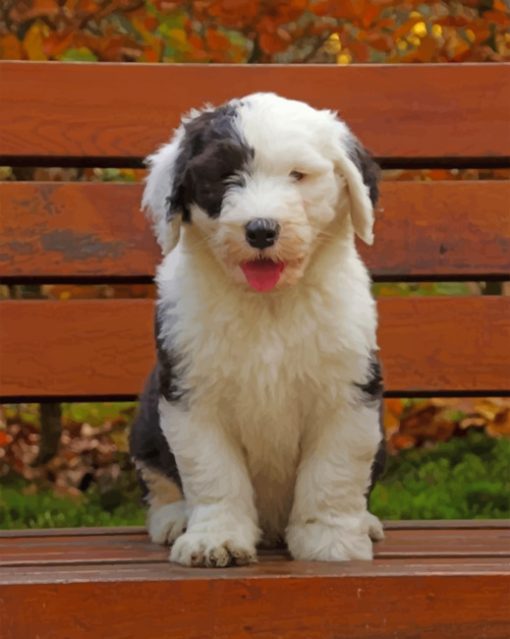 Old English Sheepdog paint by numbers