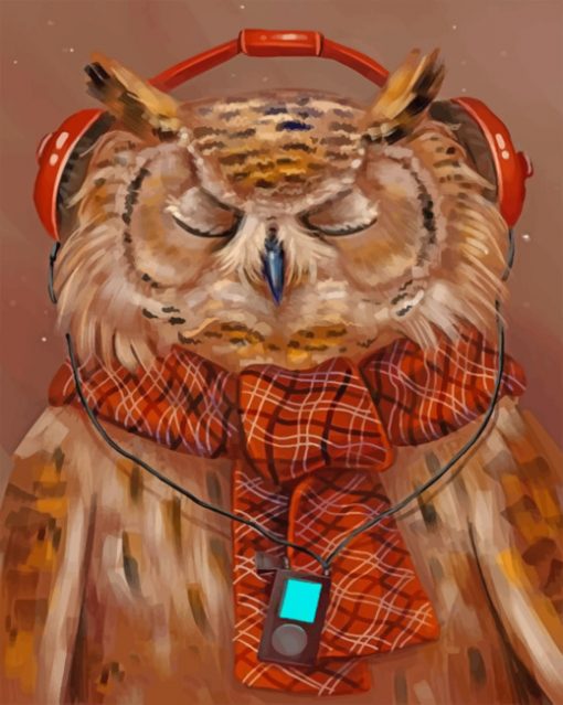 Owl Listening To Music paint by numbers