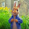 Peter Rabbit Paint by numbers