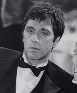 Monochrome Scarface paint by numbers