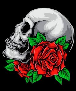 Skull And Rose paint by numbers