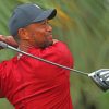 Tiger Woods Playing Golf paint by numbers