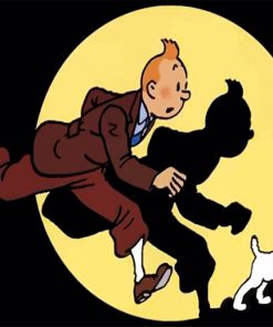 Tintin Animation paint by numbers