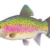 Trout Illustration paint by numbers