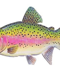 Trout Illustration paint by numbers
