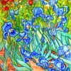 Van Gogh Iries Flowers Piant by numbers