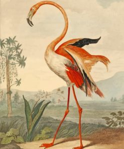 Flamingo Bird paint by numbers