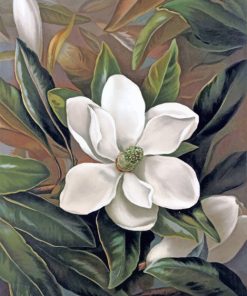 Magnolia Paint by numbers