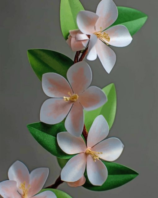 Frangipani Flowers Paint by numbers