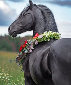 Arabian Horse With Flowers Paint by numbers