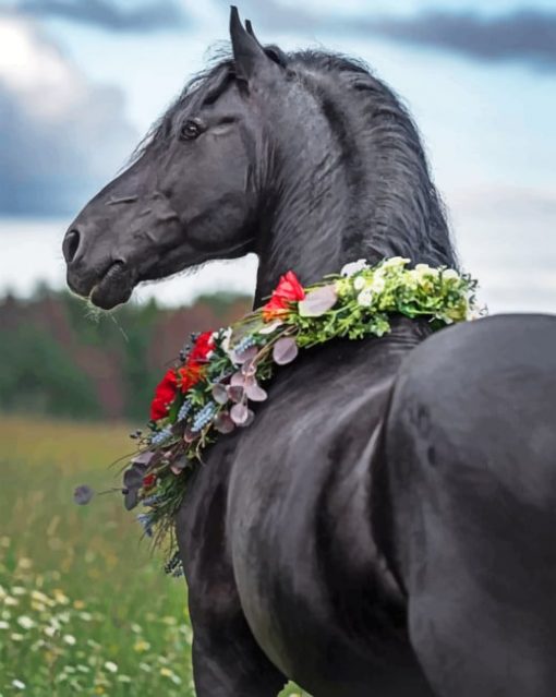 Arabian Horse With Flowers Paint by numbers