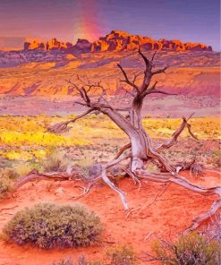 Arches National Park Desert Paint by numbers