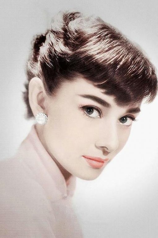 Audrey Hepburn Stunning Eyes Paint by numbers
