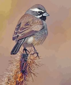 Black Throated Sparrow Piant by numbers