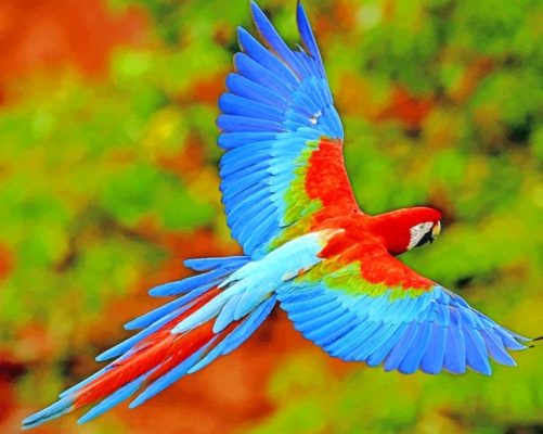 Flying-Colorful-Scarlet-macaw-paint-by-numbers