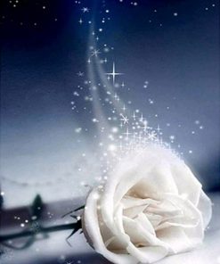 Good Night White Rose paint by numbers
