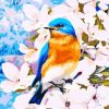Blue Birds On Flower paint by numbers