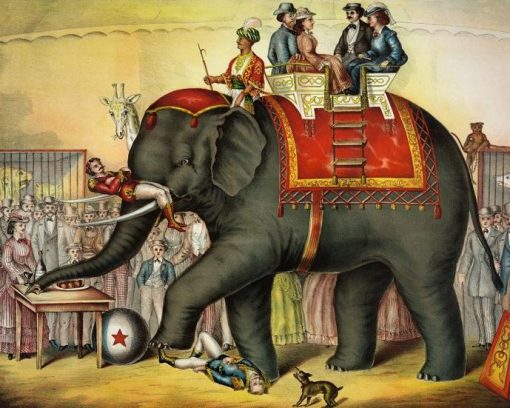 Indian Circus Elephant Piant by numbers