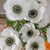 White Anemone Plants Paint by numbers