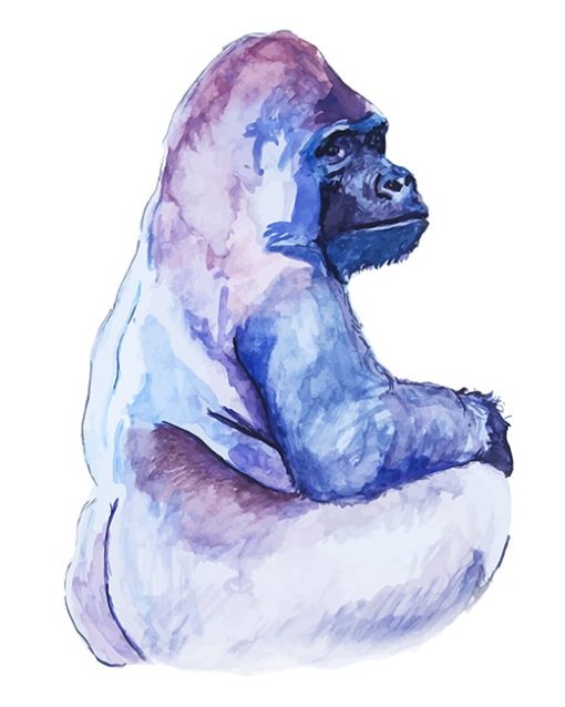Silverback Gorilla paint by numbers