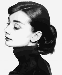 Audrey Hepburn In Black Paint by numbers