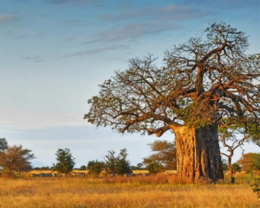 Aesthetic Baobab Tree Piant by numbers
