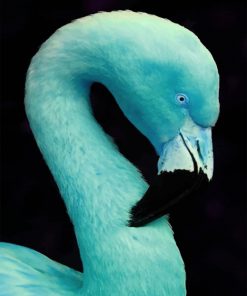 Aesthetic Blue Flamingo paint by numbers