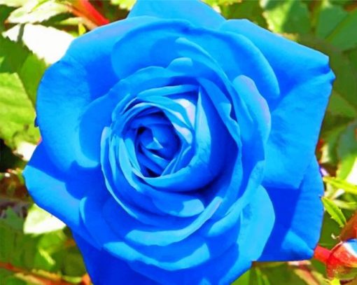 Aesthetic Blue Rose Paint by numbers