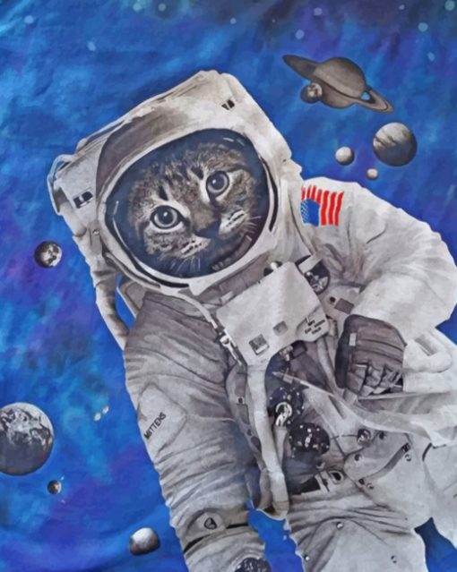 Astronaut Cat Animal Paint by numbers