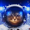 astronaut cat Ppaintt by numbers