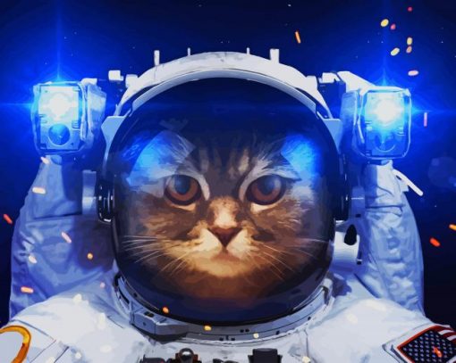 astronaut cat Ppaintt by numbers