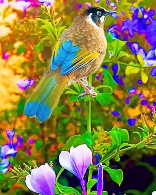 Beautiful Bird And Flowers paint by numbers
