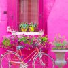 Bicycle In Burano Italy Paint by numbers