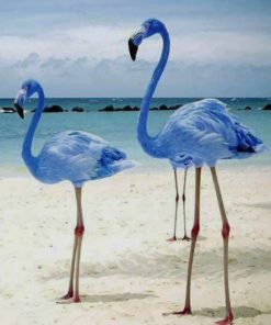 Blue Flamingos paint by numbers