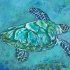 blue--turtle-paint-by-number
