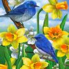 Bluebirds And Wild daffodils Piant by numbers