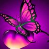 butterfly-heart-paint-by-number