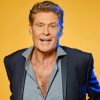 David Hasselhoff paint by numbers