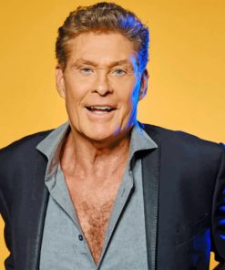 David Hasselhoff paint by numbers