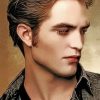Edward Cullen Twillight paint by numbers