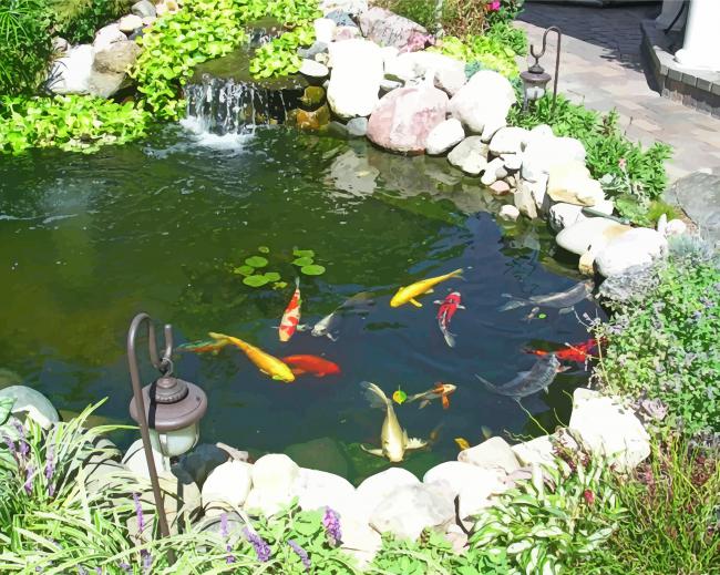 Koi Fish Pond Paint by numbers
