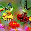Flowers And Birds Paint by numbers