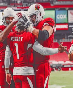 Arizona Cardinals Football Team paint by numbers