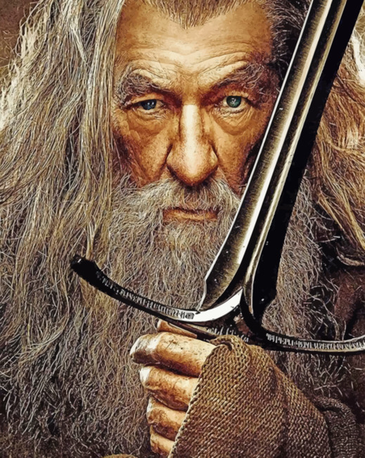 Gandalf Lord Of The Rings - Paint By Number - NumPaint - Paint by numbers